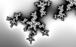 Fractal: Black and White 9