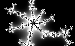 Fractal: Black and White 3