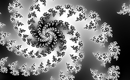 Fractal: Black and White 6