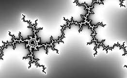 Fractal: Black and White 4