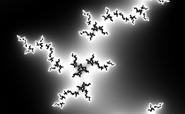 Fractal: Black and White 5