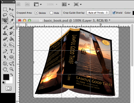 new book crop