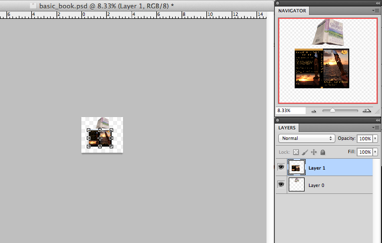 resize import